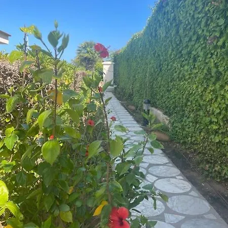 Apartment Cala Josep - Bajo Con Dos Terrazas- *